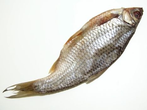 Single dry fish over the white background        