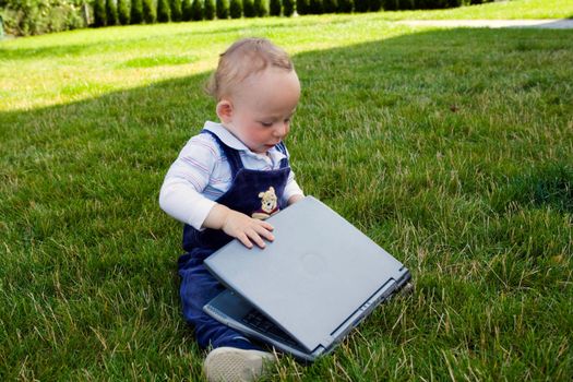 Baby study on computer