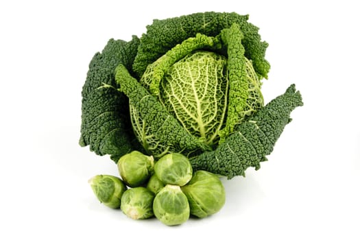 Single fresh ripe green cabbage and pile of sprouts on a reflective white background 