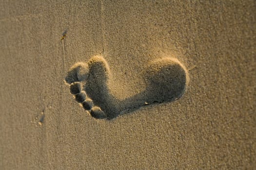  sea-sand, sign, texture, trace, track, beach