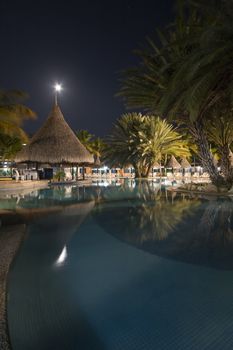 Pool, palm