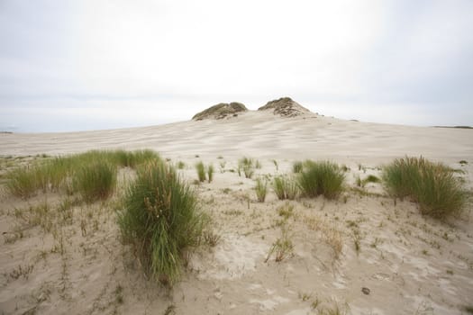 waves of sand - formed by wind and water