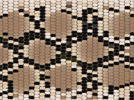 Snake skin with the pattern lozenge form 