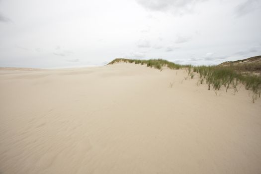 waves of sand - formed by wind and water