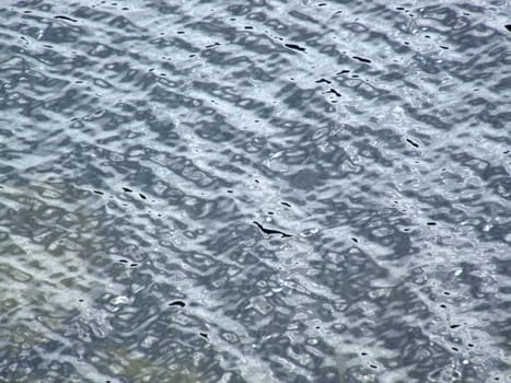 Small waves on the surface of lake water.