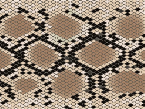 Snake skin with the pattern lozenge form