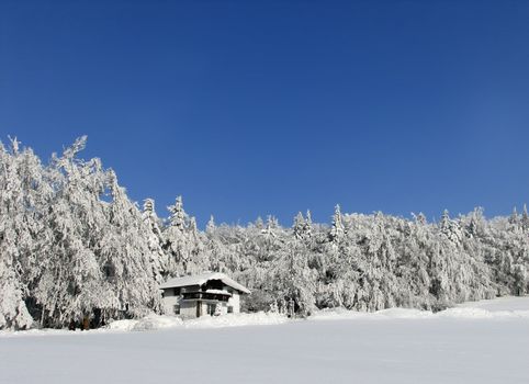 Deeply frosted winter landscape with blue sky and a house