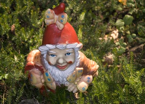 Old garden gnome standing between some plants