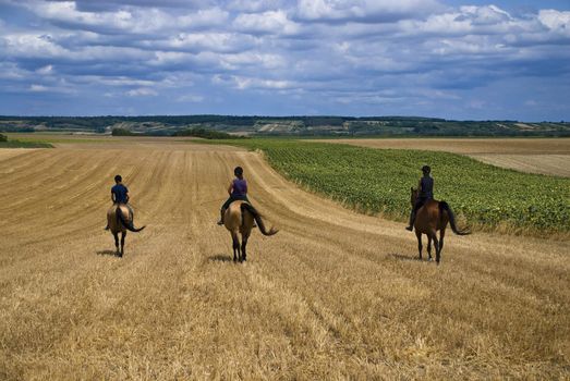 Three women on their horses riding on a stubblefield