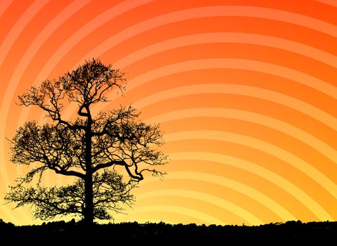 Silhouette of a tree at sunset. Illustration.