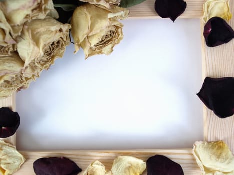 Dried rosepetals sprinkled over a wooden frame over a blank white background.