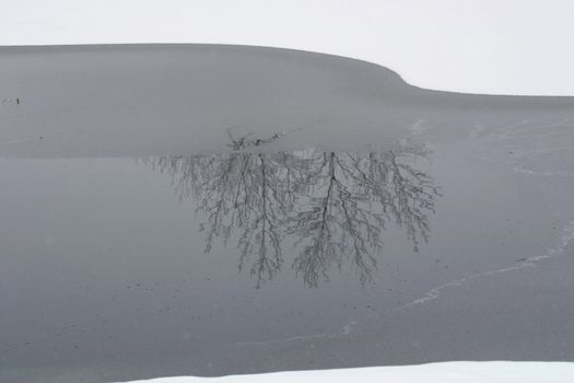 Trees reflected in the icy waters of a lake in winter