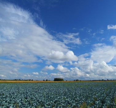 Beautiful clouds and blue sky. Countryside idyllic landscape.