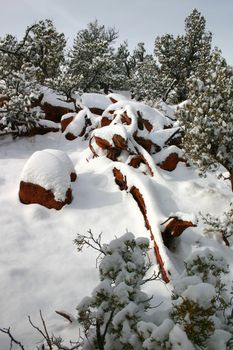 Fresh snowfall in the Colorado Rocky Mountains