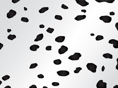 Vector black and white spotted fur of the dalmatian