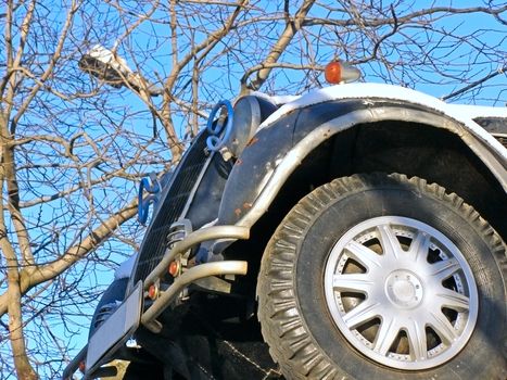 car wheel against the tree and blue sky