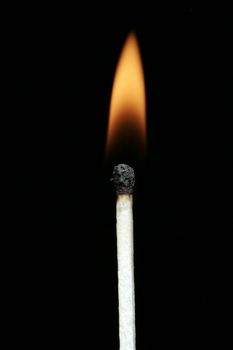 Burning Flame On A Single Matchstick On A Black Background