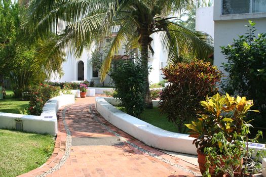 walkway to tropical home 