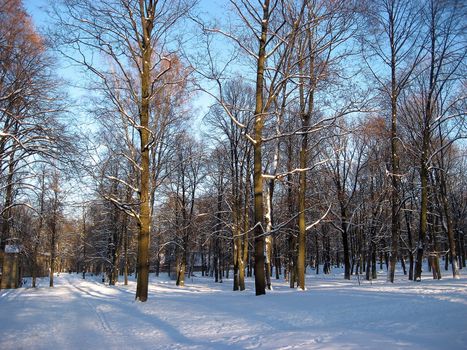 Big cemetery of Riga, Latvia in winter