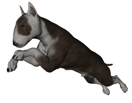 3D rendered bull terrier dog on white background isolated