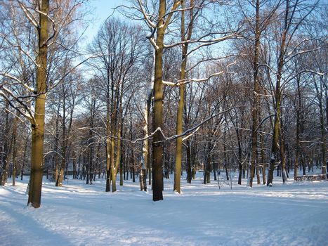 Big cemetery of Riga, Latvia in winter