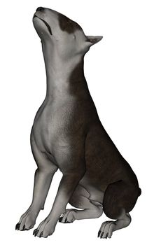 3D rendered bull terrier dog on white background isolated