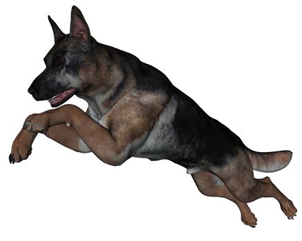 3D rendered German shepherd dog on white background isolated