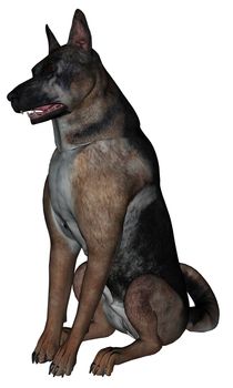 3D rendered German shepherd dog on white background isolated