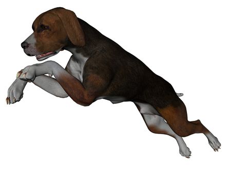 3D rendered hound dog on white background isolated