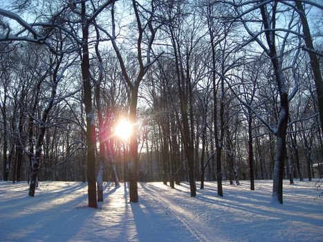 Big cemetery of Riga, Latvia in winter