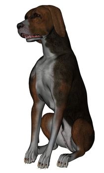 3D rendered hound dog on white background isolated