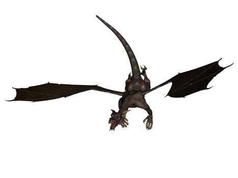 3D rendered flying dragon isolated on white background