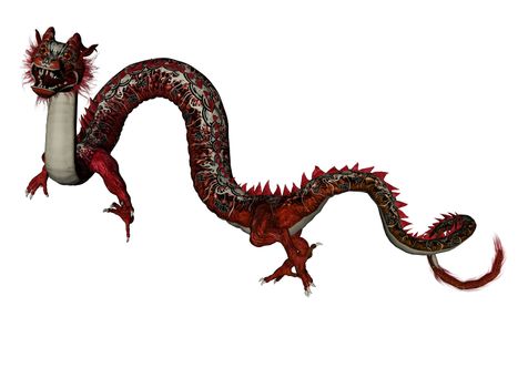 3D rendered chinese dragon isolated on white background