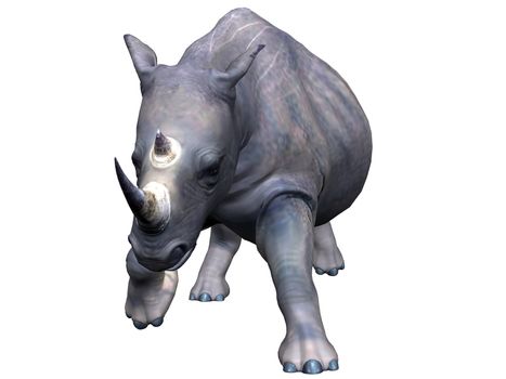 3D rendered model of african rhinoceros on white background isolated