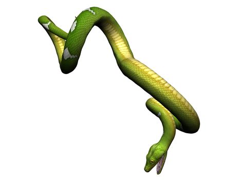 Green python rendered on white background