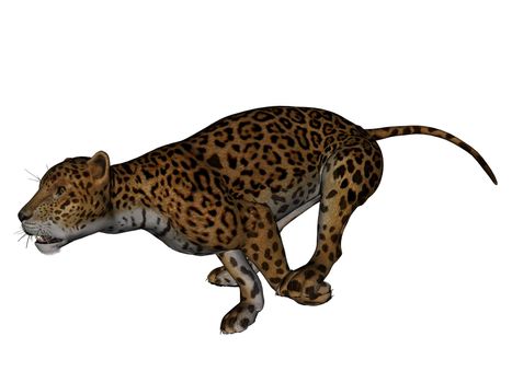 3D rendered jaguar on white background isolated