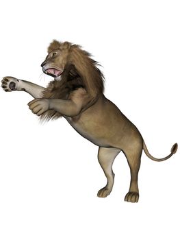 3D rendered lion male on white background isolated