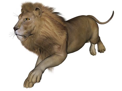 3D rendered lion male on white background isolated