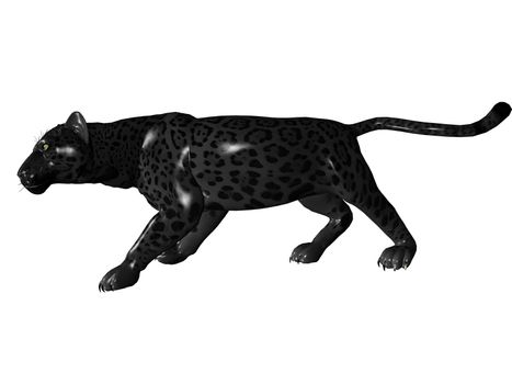 3D rendered image of Black panther on white background an isolated