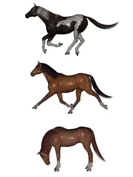 3D rendered horses isolated on white background