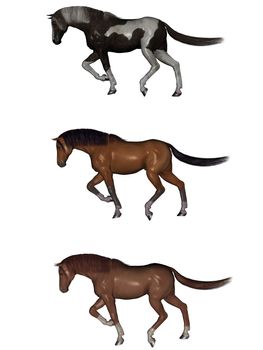 3D rendered horses isolated on white background