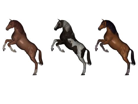 3D rendered horses isolated on white background