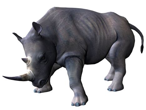 3D rendered model of african rhinoceros on white background isolated