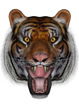 3D rendered tiger on white background isolated