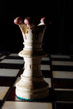 chess pieces on chess board showing power and success