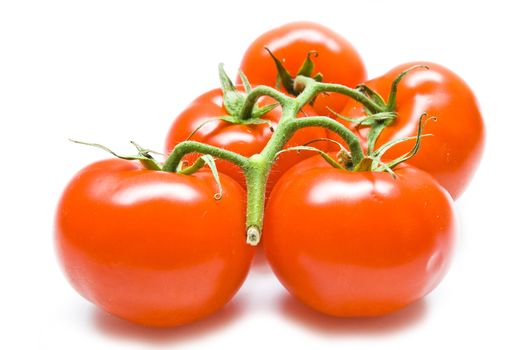 Bunch of fresh tomatoes on white background