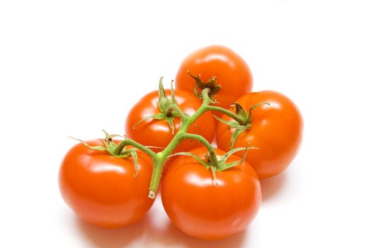 Bunch of fresh tomatoes on white background