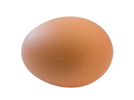 Single brown isolated egg against the white background