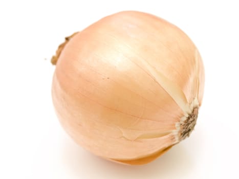 The single onion against the white background