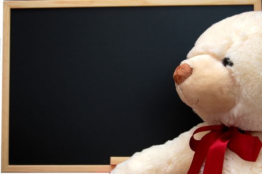 isolated teddy with empty blackboard on white background
